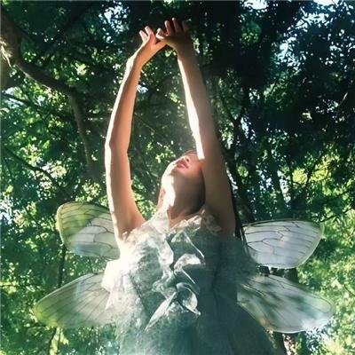 洛丽塔俱乐部的情歌