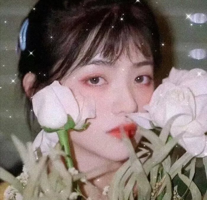 玩火自焚